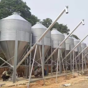 Silo à alimentation galvanisé de haute qualité pour le stockage du maïs, du riz et des céréales, équipement d'élevage avicole - Product Image 6