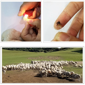 Coprisedile in lana di peluche per <span class=keywords><strong>Auto</strong></span> coprisedile per <span class=keywords><strong>Auto</strong></span> in lana lunga protezione per <span class=keywords><strong>sedile</strong></span> <span class=keywords><strong>anteriore</strong></span> per accessori <span class=keywords><strong>Auto</strong></span> - Product Image 5