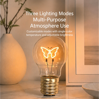 Ampoule LED rechargeable à intensité variable, petite veilleuse design, lumière d'ambiance créative à filament personnalisable pour toute la maison
