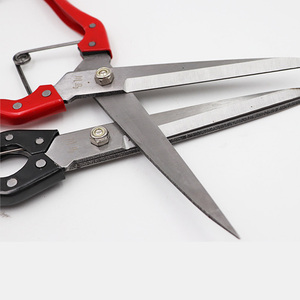 <span class=keywords><strong>Prix</strong></span> de gros Ciseaux vétérinaires pour moutons Ciseaux à main pour tondre la laine Ciseaux pour moutons - Product Image 5