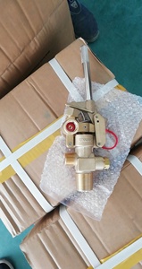 Áp Lực Cao Xi Lanh Khí Cháy Van An Toàn Cho Chữa Cháy Thiết Bị Carbon Dioxide Bình Chữa Cháy Van - Product Image 2