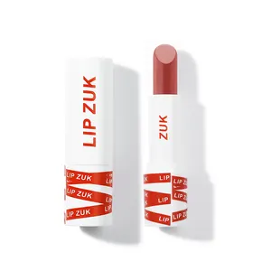 Hot-venda Batom 8 Cores Personalizar Matte Waterproof Velvet Lipstick Pigmentos Private label matte Cosméticos