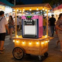 Machine à glace molle commerciale entièrement automatique 20~28L/h, amovible avec poulie, pour entreprise