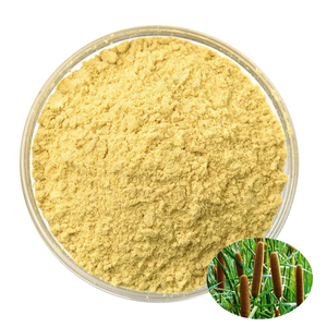 Hongda <span class=keywords><strong>Typha</strong></span> <span class=keywords><strong>Angustifolia</strong></span> استخراج Typhan حبوب اللقاح Cattail حبوب اللقاح مسحوق - Product Image 1
