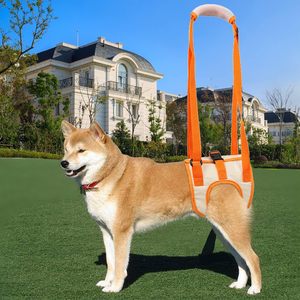 Kingtale-Arnés de elevación Oxford aprobado por veterinarios para perros, lesiones en las articulaciones de la cadera, patrón sólido, cabestrillo, pierna trasera, arnés para perros sostenible - Product Image 2