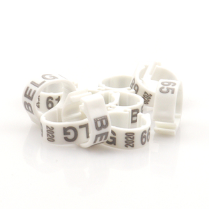 8mm <span class=keywords><strong>10mm</strong></span> פלסטיק יונה רגל רגל טבעות כידון דיגיטלי טבעת פתוח carrier מרוצי יונים יונה עם מילה רגל טבעת - Product Image 2