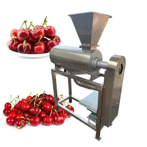 Industrial fruit vegetable orange avocado pulper tomato puree juicer making machine prices for apple