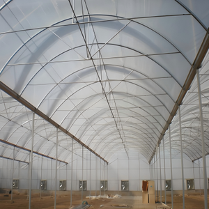 Serre en acier multi-chapelles avec structure en plastique, grande serre en <span class=keywords><strong>film</strong></span> PE facile à assembler, personnalisable pour jardins botaniques et sites touristiques - Product Image 6