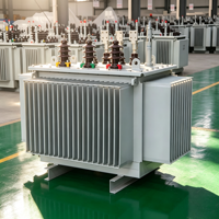 Transformateur de distribution de puissance triphasé immergé dans l'huile Taishun S11 315 kVA 50/60 Hz 6,3 kV 10 kV