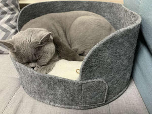 2025 Cama de gato cómoda de fieltro redondo más vendida con cojín lavable - Product Image 5