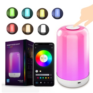 Hot Sales Modern Smart Mood <b>Light</b> RGB+CCT LED Plastic Table Lamp <b>Touch</b> App Control USB Dimmable Bedroom/Living Room/Bedside Use - Product Image 3