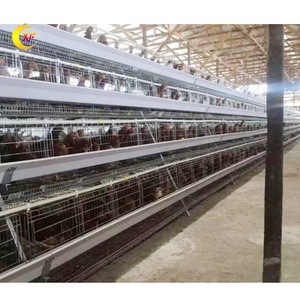 Galvanizli çelik Anti-pas a tipi katmanlar kafes 10000 tavuk tavuk çiftliği için otomatik tavuk kafesleri yumurta tabakası - Product Image 3