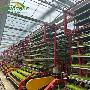 Machine automatique haute performance <span class=keywords><strong>pour</strong></span> la culture de <span class=keywords><strong>semis</strong></span> de riz, ligne de pépinière de riz <span class=keywords><strong>pour</strong></span> l'agriculture - Product Image 1