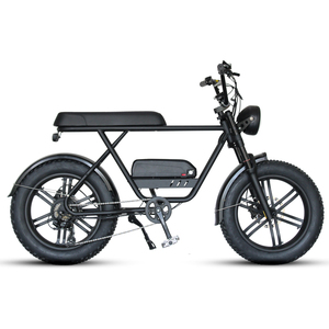 Kostenloser Versand China 48v Günstiger Preis Retro Vintage Adult Fat Tire Mountain Assist Ebike Cycle E Fahrrad Elektro fahrrad Zum Verkauf - Product Image 4