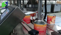 Machine automatique à grande vitesse pour la mise en conserve de bouteilles et de canettes, pour les boissons aux fruits de noix de coco, les boissons en plastique, équipement