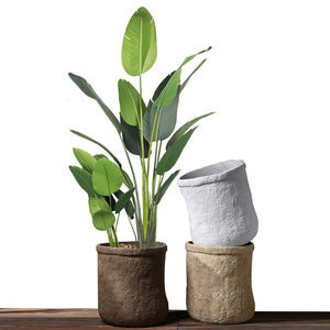 Vaso personalizzato all'ingrosso di <span class=keywords><strong>cemento</strong></span> <span class=keywords><strong>vasi</strong></span> e <span class=keywords><strong>fioriere</strong></span> <span class=keywords><strong>in</strong></span> <span class=keywords><strong>cemento</strong></span> per interni esterni - Product Image 6