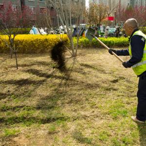 Les engrais organiques naturels à l'état de poudre améliorent l'écologie du sol et favorisent la croissance des cultures - Product Image 2
