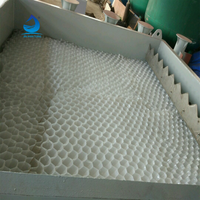 Système de traitement des eaux usées industrielles Clarifier avec pompe certifiée CE ISO, capacité de 500 L/heure