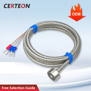 Hoge temperatuur <span class=keywords><strong>PT100</strong></span> <span class=keywords><strong>RTD</strong></span> sensor met K type thermokoppel en metalen slang voor kolenoven - Product Image 1