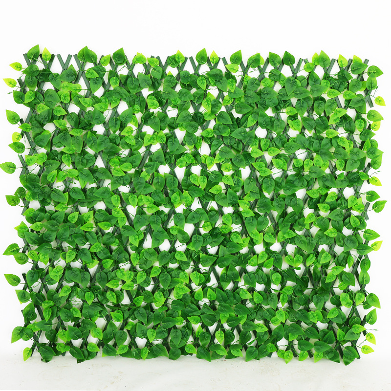 ใบไม้พันธุ์โพธอส