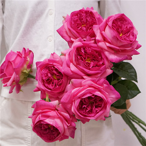<span class=keywords><strong>Rose</strong></span> <span class=keywords><strong>artificielle</strong></span> Juliette à toucher réel, 7 têtes, en soie, pour mariage, décoration intérieure, photographie, centre de table, arrangement - Product Image 2