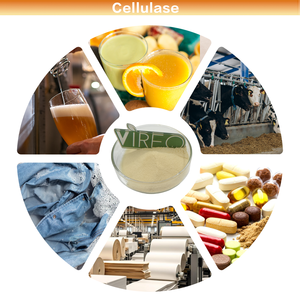 Enzyme cellulase 20 000 u/g 40 000 u/g, qualité alimentaire/industrielle, cellulase fongique Aspergillus niger - Product Image 3