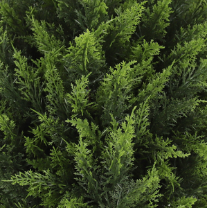 Plantas Artificiales de Ciprés, Decoración de Jardín Interior y Exterior con Estacas para el Suelo, para <span class=keywords><strong>Cementerio</strong></span>, Ramo, Fiesta, Patio Trasero - Product Image 6