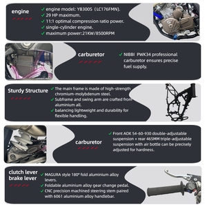GX-SENNA-YBS300 มอเตอร์ไซค์ใหม่ ระบายความร้อนด้วยน้ำ 300 ซีซี DOHC สี่จังหวะ สูบเดียว PWK34 สตาร์ทแบบออฟโรด - Product Image 4