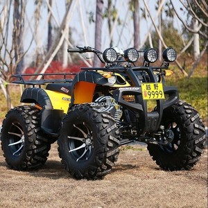 Vehículo Todoterreno de Cuatro Ruedas, Quad Buggy, Fuente de Alimentación de 72V, Transmisión Automática, Construcción de Acero, Carga de 300 kg - Product Image 3