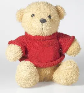Gefüllter Mini-Teddybär mit T-Shirt