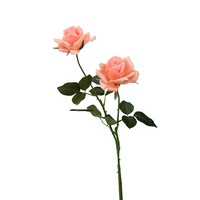 Bouquet de roses Morandi Floravital – Vente directe usine – Fleurs en soie douces au toucher, hydratantes, à bords roulés – Idéal pour mariages et décoration intérieure