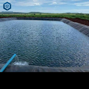 HDPE <span class=keywords><strong>LDPE</strong></span> bãi rác dam lót tấm cá trang trại AO 1mm Polyethylene <span class=keywords><strong>geomembrane</strong></span> - Product Image 3