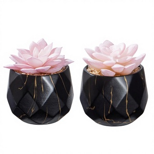 ZENIDA Duurzame Kunstmatige Vetplanten 2 Zwarte Keramische Potten Leuke Kunstplanten Kantoor Thuis Badkamer Decor Vrouwen Meisjes Verjaardag - Product Image 3