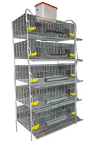 Vente d'usine : Nouvelles cages à cailles en acier de type H pour la production d'œufs, capacité de 300 cailles
