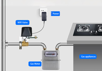 Vanne d'eau de contrôle de manipulateur de capteur de gaz Wifi intelligent DN15 DN20 contrôleur d'arrêt Tuya Alexa Google Assistant SmartLife