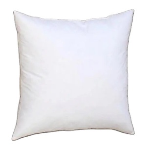Bán Sỉ Đệm Lông Vịt Màu Trắng Kích Thước Tùy Chỉnh 45X45 Gối Chèn Hình Vuông Bên Trong - Product Image 1