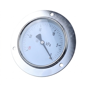 Manomètre à diaphragme en acier inoxydable YE-100ZT, caractéristique sismique, manomètre personnalisable - Product Image 2