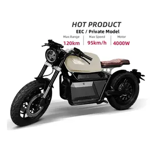 ER200 EEC Popular Product Brushless DC Motor High Speed 95km/h Off-Road Adult Electric Motorcycle 4000W