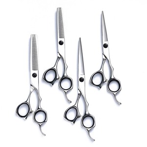 Professional Hair Scissors Set 6 Inch 9Cr Stainless Steel Flat Shears Thinning Shears Salon Grade Hairstylist Tools - Product Image 1
