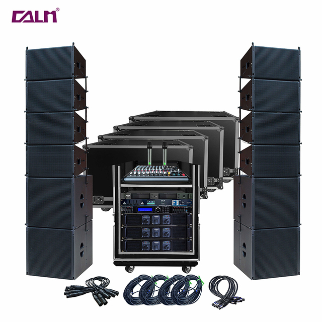 Single 10" High Quality Audio Sound Equipment Two Way Passive Line Array Tops with 18'' Subwoofer Amplifier Speaker PA System