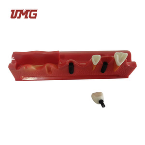 Modelo Dental Seccionado de Implantes, Material de Resina, Marca UMG con Certificación CE para Prácticas Estudiantiles - Product Image 2