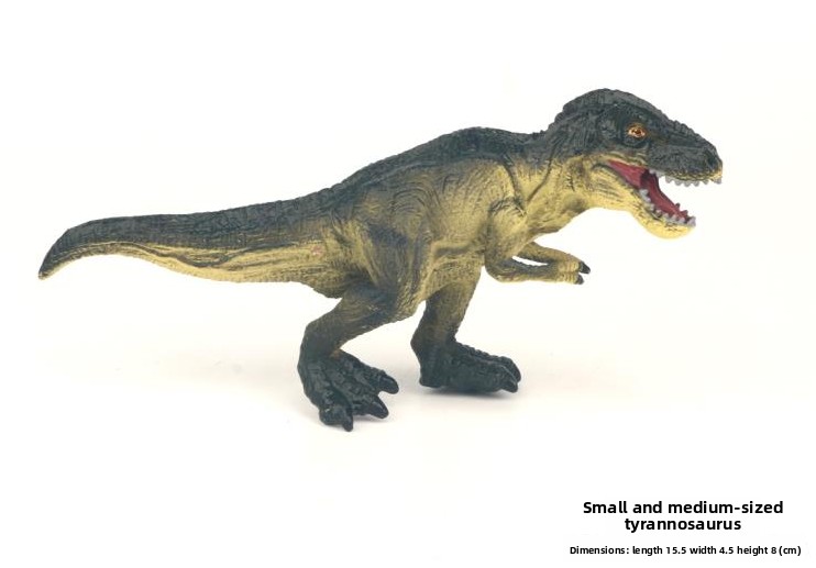 Tyrannosaurus Rex-0032