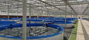 Réservoir d'aquaculture de 0.95m Revêtement de bâche en <span class=keywords><strong>PVC</strong></span> Acier galvanisé Étang à poissons rectangulaire Stockage d'eau de pluie Réservoir d'eau Étang à poissons - Product Image 6