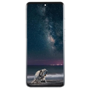 จอแสดงผล OLED สำหรับ S21 Ultra 5G ของแท้แบบ Incell พร้อมการรับประกัน 1 ปี ขายส่ง - Product Image 2