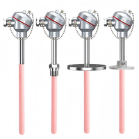 S Type Platinum Rhodium Thermocouple PtRh10 1600℃ High Temperature Sensor With 99% Ceramic Tube for Kiln Muffle Tube Furnace