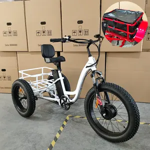 Vélos électriques 48V 750W à trois roues, gros pneus, tricycles électriques pour adultes, vélo cargo électrique à 3 roues pour personnes âgées