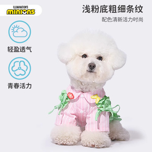 Camisa de colores contrastantes para perros Minions, estilo ligero, adecuada para perros pequeños, pomeranians, schnauzers y gatos. - Product Image 5