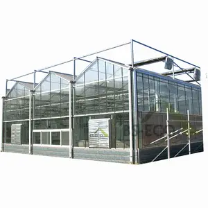 Multi-overspanning glas kas planten verticale landbouw Nft hydrocultuur systeem voor tomaat sla groeiende