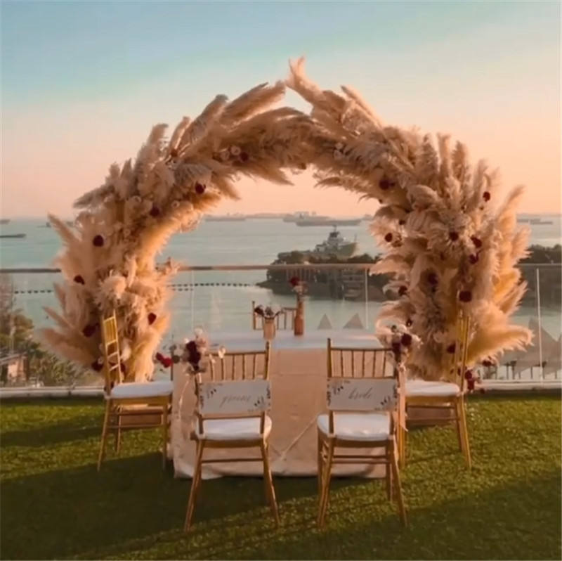 20 Rametti Erba Della Pampa Essiccati Naturali | Fiori Secchi Verde Chiaro | Per Decorazione Casa, Matrimoni, Giardino - Foto 2