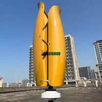 Tulipe éolienne personnaliser usage domestique 1000w 2000w 3000w moulin à vent puissance axe Vertical éolienne éolienne pour usage domestique